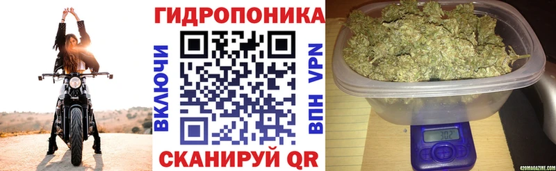 Купить наркотики Озёры Alpha-PVP  Мефедрон  ГАШ  КОКАИН 