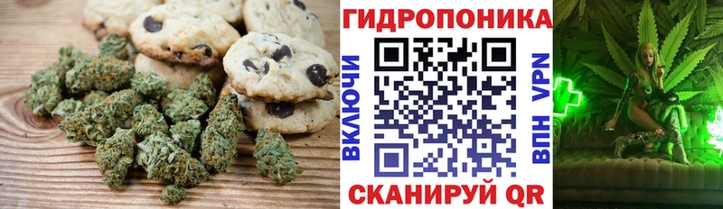 Canna-Cookies марихуана  МЕГА tor  Озёры  купить наркотик 