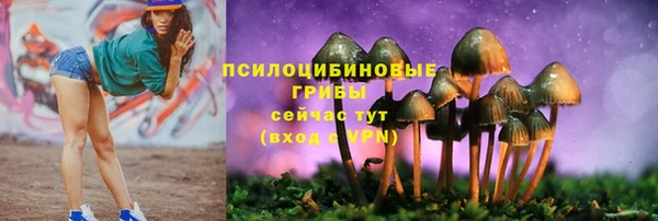 мдма Дмитриев