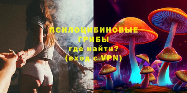мдма Дмитриев